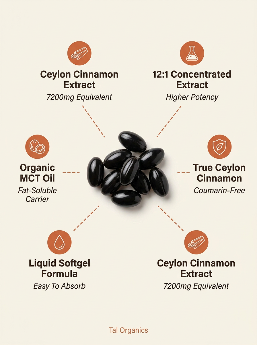 Ceylon Cinnamon 7200mg Equivalent with MCT Oil